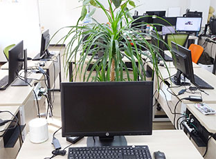 緑が目に優しい環境